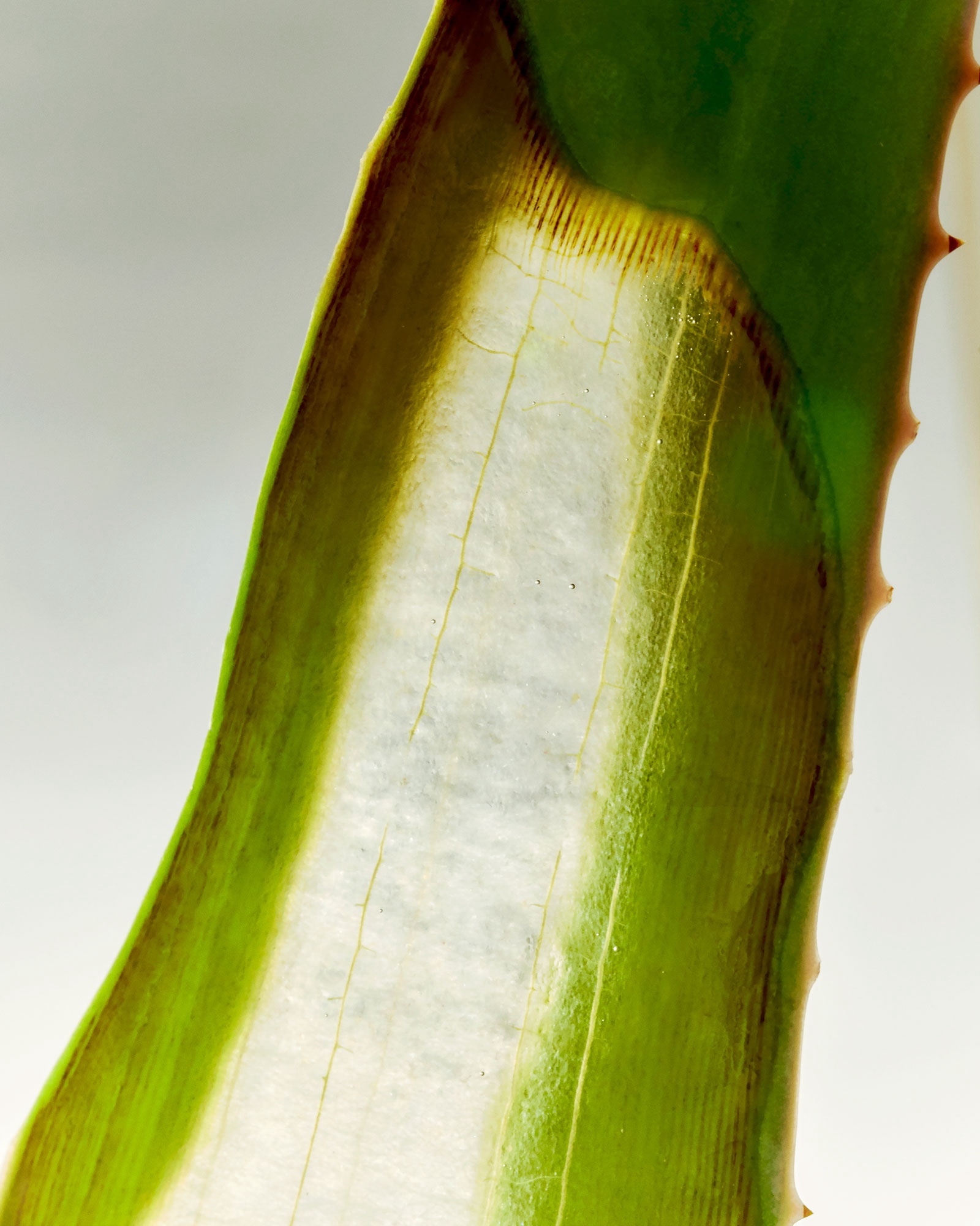:–*